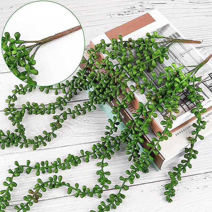 Plantes Suspendues Vert Naturel