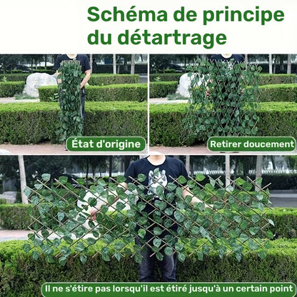 PaysaWood FlexiGreen™ – Brise-Vue Extensible Effet Lierre