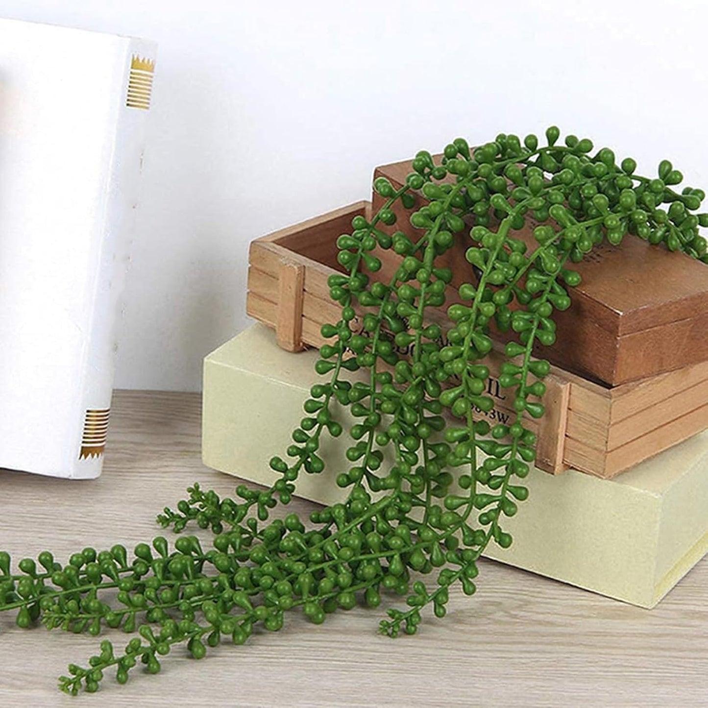 Plantes Suspendues Vert Naturel