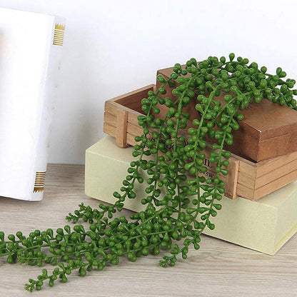 Plantes Suspendues Vert Naturel