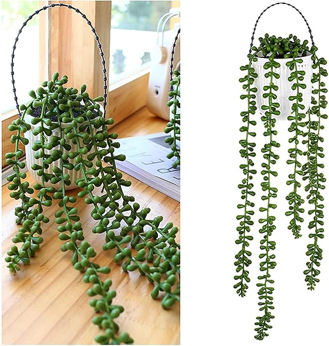 Plantes Suspendues Vert Naturel