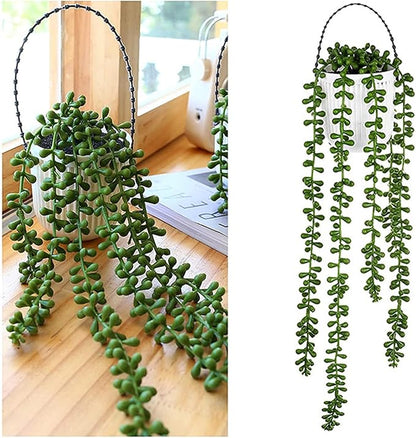 Plantes Suspendues Vert Naturel