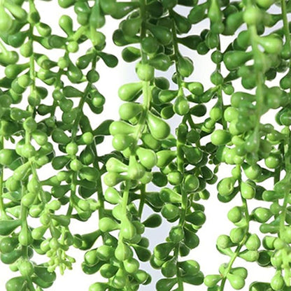 Plantes Suspendues Vert Naturel