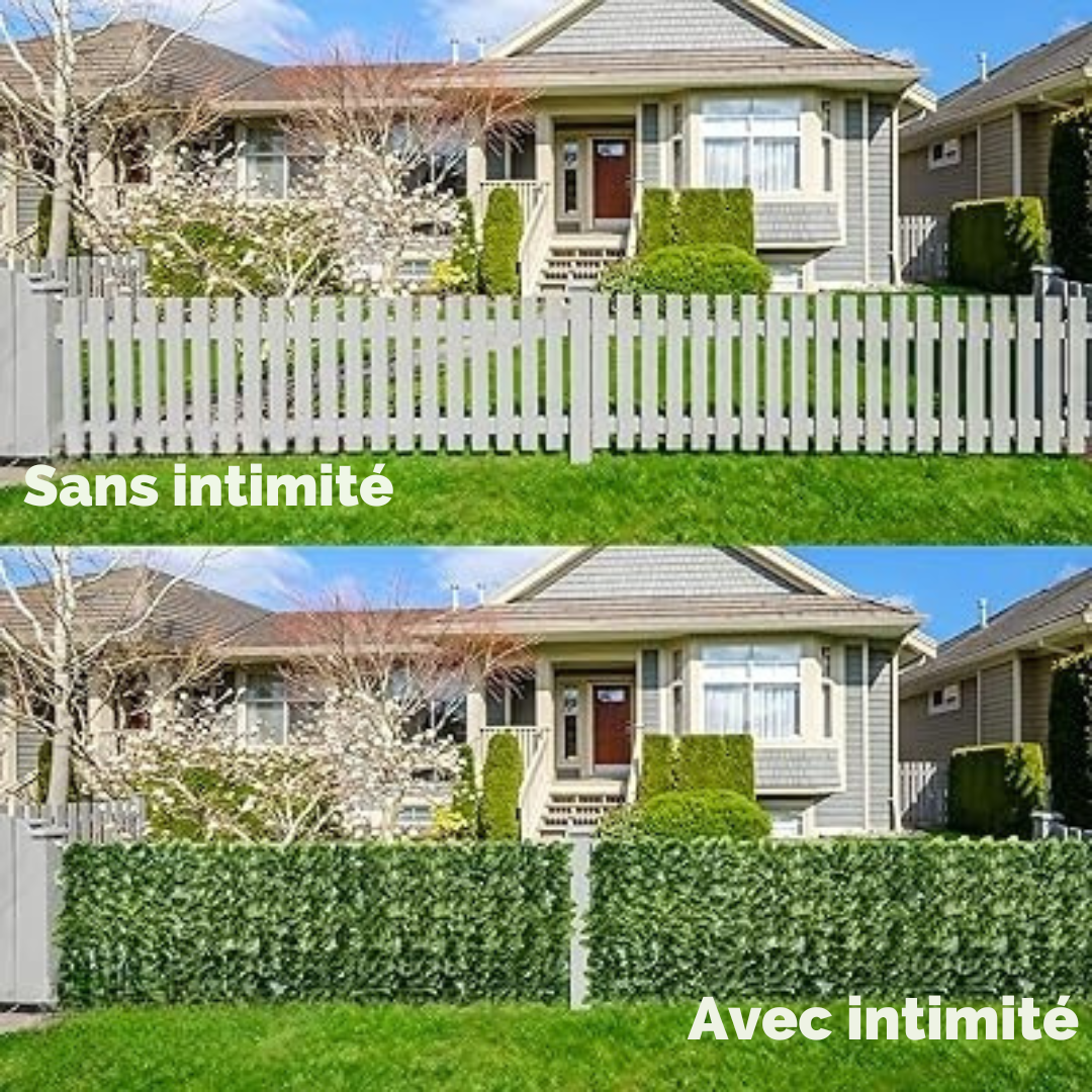 Clôture d'intimité extensible (3m/1m) en lierre artificiel
