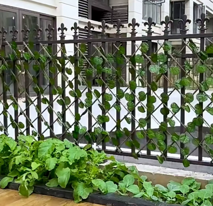 PaysaWood FlexiGreen – Treillis extensible effet lierre