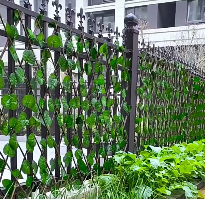 PaysaWood FlexiGreen – Treillis extensible effet lierre