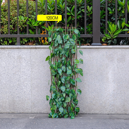 PaysaWood FlexiGreen™ – Brise-Vue Extensible Effet Lierre