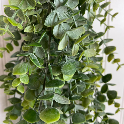 Buisson Eucalyptus Artificiel Suspendu