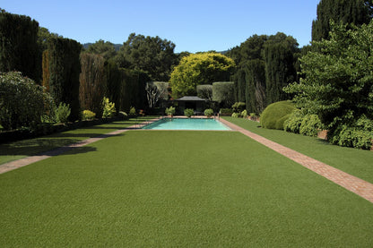 PaysaLux Gazon artificiel  40 mm- Minimum