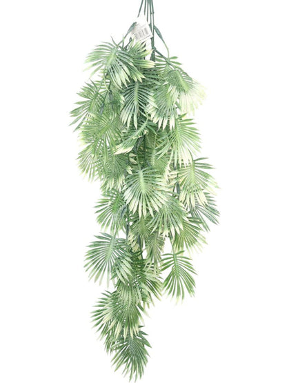 Feuillage Palmier Suspendu Cascade