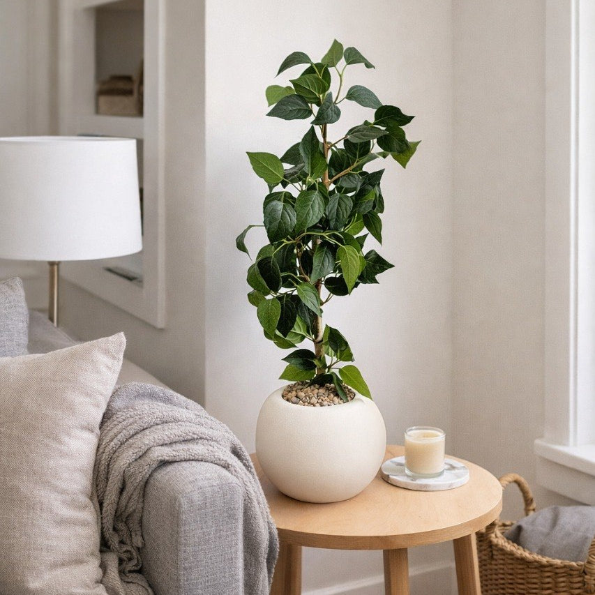 Plante Décorative Intérieure Pot Blanc