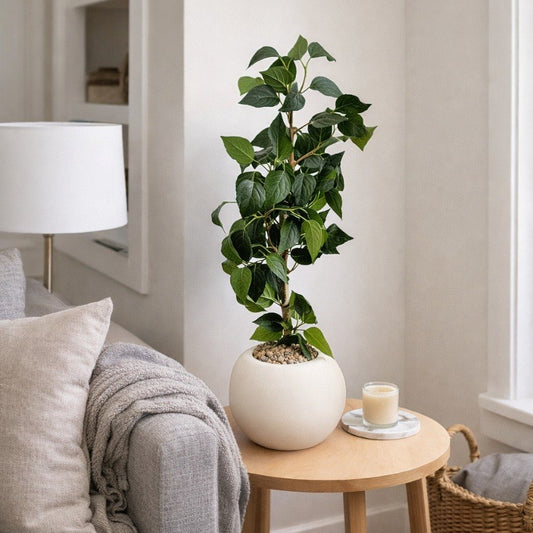Plante Décorative Intérieure Pot Blanc