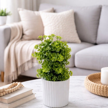 Plante Décorative Intérieure Pot Blanc